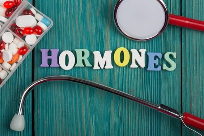 hormones oestrogène et prolactine